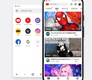 В Китае запустили браузер Tuber, который позволяет получить частичный доступ к заблокированным в стране сайтам