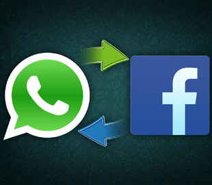 WhatsApp отвергает обвинения ФРГ в передаче данных пользователей в Facebook