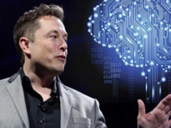 Илон Маск сказал, что чип Neuralink лучше, чем метавселенные