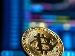 Власти Тайланда запретили шутливые криптовалюты и NFT
