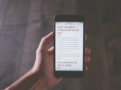 Как использовать встроенный словарь в iOS