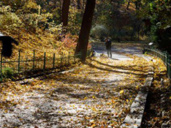 Якою буде погода в жовтні: прогноз Укргідрометцентру на місяць