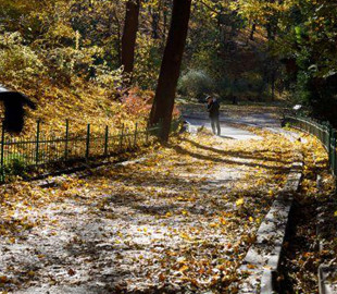 Якою буде погода в жовтні: прогноз Укргідрометцентру на місяць