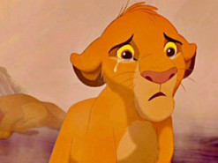 Реакция пса на сцену из мультфильма «Король Лев» растрогала соцсети