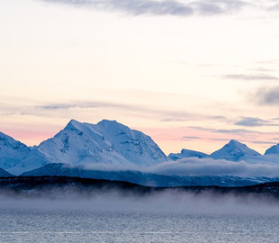 Ученые показали, как лед постепенно покрывал Арктику в этом году