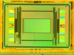 Новая платформа на чипе измеряет динамику нейронов с высоким разрешением