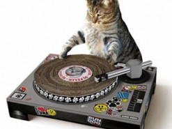 Странные товары, которые можно купить в Интернете