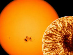 Кто испачкал Солнце: откуда берутся пятна на огненной звезде и что они означают