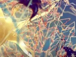 Вчені з'ясували, як працює білкова гіпотеза хвороби Альцгеймера