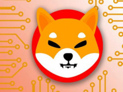 Покупка криптовалюты на $670 сделала водителя миллионером