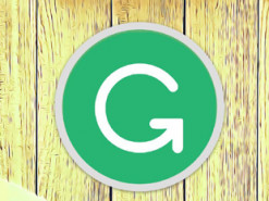 Украинский стартап Grammarly оценили в $1 миллиард