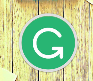 Украинский стартап Grammarly оценили в $1 миллиард