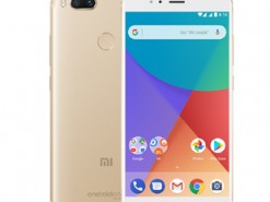 Xiaomi приписывают совместную с Google работу над новым смартфоном