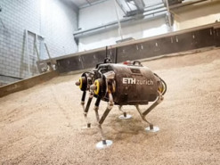 На Марс отправят первого четвероногого робота - SpaceBok будет искать на Красной планете признаки жизни: фото и видео