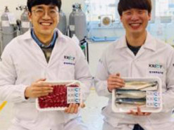 Ученые нашли способ предупреждать о просроченных продуктах