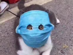 В Сети появились смешные фотожабы "против" коронавируса