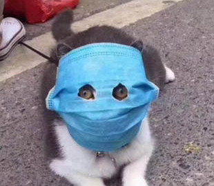 В Сети появились смешные фотожабы "против" коронавируса