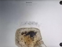 Ноутбук Apple MacBook Pro самовозгорелся и травмировал владельца