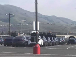 Tesla запасается электрокарами Model Y для выполнения доставки в течение двух недель