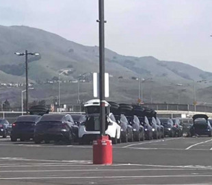 Tesla запасается электрокарами Model Y для выполнения доставки в течение двух недель