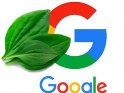 Сбой в работе YouTube и сервисов Google высмеяли меткой фотожабой