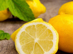 Сеть насмешила реакция собаки на дольку лимона