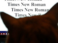 Россиянам заблокировали доступ к шрифтам Times New Roman и Arial