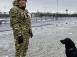 В Украине пес-патриот восхитил сеть: отвечает на "Слава Украине"