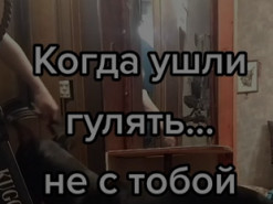 Хозяйка решила выгулять игрушку вместо собаки: курьезная реакция питомца