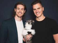 Сеть покорила собака, ставшая иконой моды