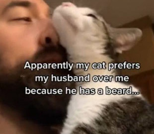 Прицепила бороду: Американка нашла способ заинтересовать кота