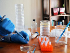 Анонимная группа биохакеров cобирает пожертвования в биткоинах для разработки вакцины от коронавируса