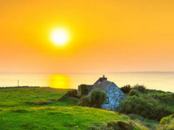 24 500 человек ответили на вакансию сторожа безлюдного острова