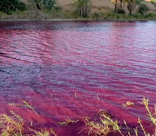 В Иордании внезапно окрасилась вода в озере: изображения вызвали фурор в соцсетях (Фото)