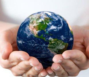 День Земли: Google создал дудл об уникальных животных и растениях