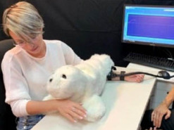 Ученые изобрели робота-тюленя, который делает людей счастливее