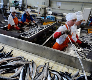 У Держпродспоживслужбі дали поради, як вберегтися від отруєння рибою