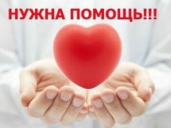 Из-за обыска у эксперта по кибербезопасности его сын оказался на грани гибели