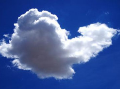 Как хостинг-провайдер помогает развивать бизнес большим и маленьким компаниям