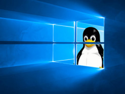 Власти Южной Кореи отказываются от Windows