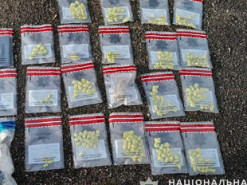 На Тернопільщині викрили наркобанду, що торгувала через інтернет