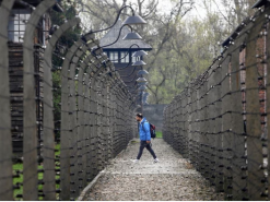 Меморіал Аушвіц критикує X Маска за те, що він не видаляє антисемітський контент