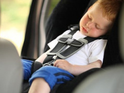 Tesla нашла способ избежать детских смертей в своих автомобилях