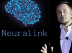 Илон Маск подтвердил, что Neuralink начнет имплантацию мозговых чипов к 2022 году