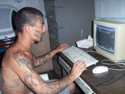 Организованная преступность Украины переключается на аферы в интернете