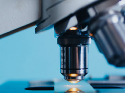 Израильские ученые первые в мире напечатали на 3D-принтере злокачественную опухоль мозга