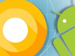 Смартфоны OnePlus не получат Google Project Treble