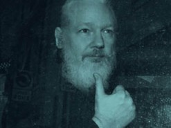 Джулиан Ассанж приговорен к 50 неделям заключения