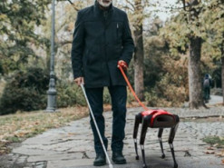 Китайцы скопировали робопса Spot и сделали его намного дешевле