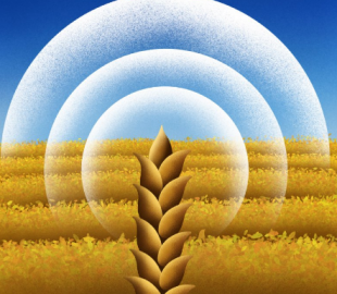 Компанія «Старлінк Юкрейн» щойно отримала ліцензію оператора